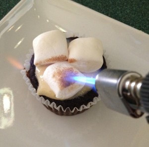 In Johnnas Kitchen roasting marshmallows for s'mores cupcakes