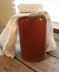 half gallon jar kombucha