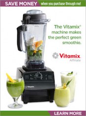 vitamix