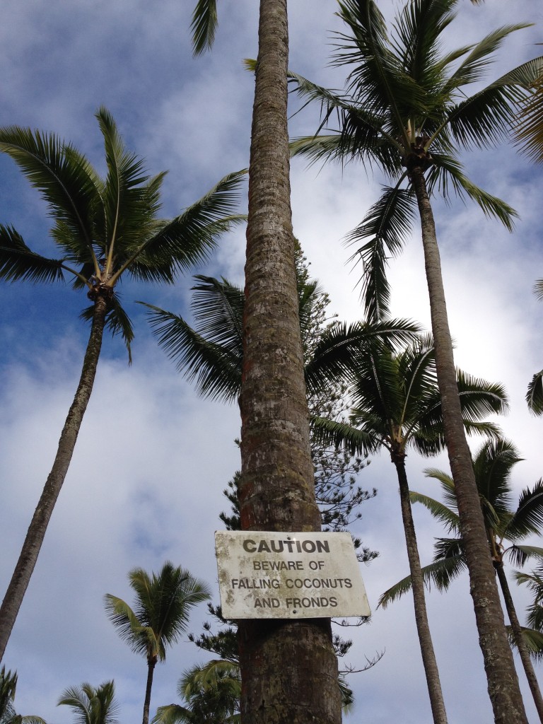 Coconut Sign Natural Pool Big Island Hawaii | In Johnna's Kitchen