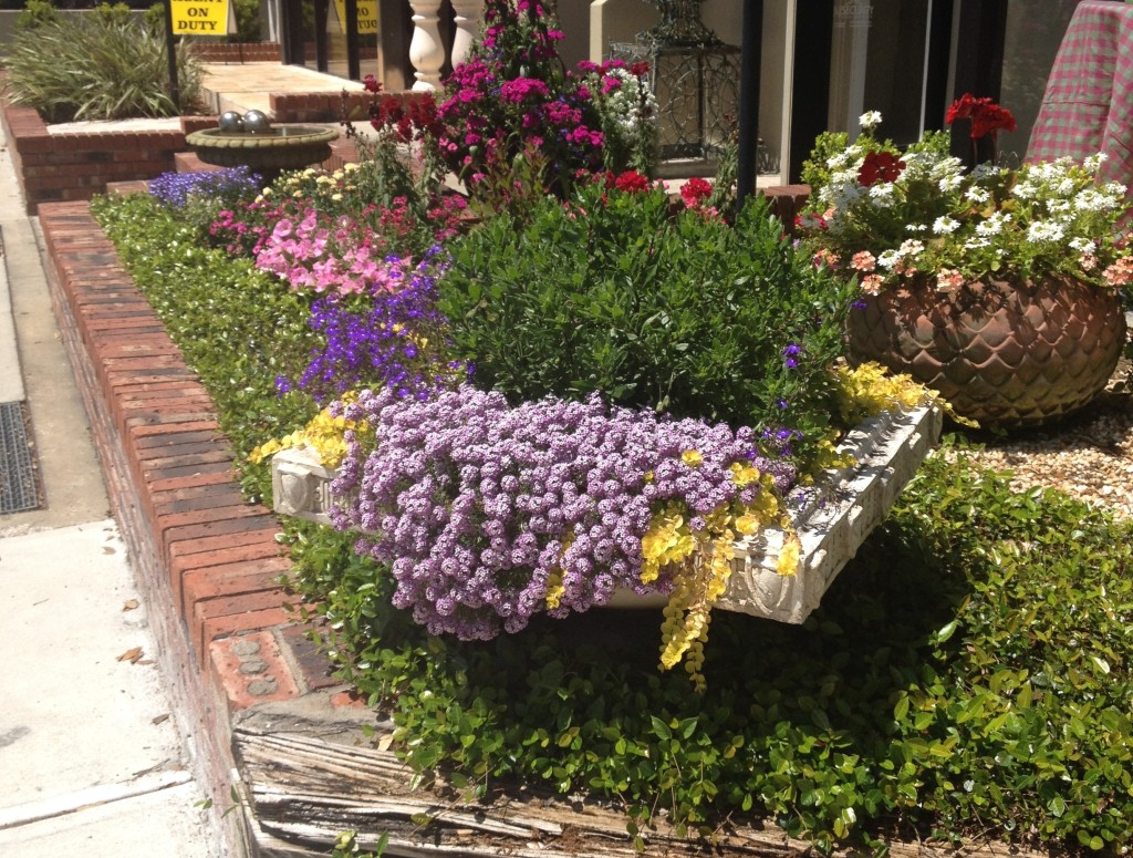 Flower Shop in Winter Park | In Johnna's Kitchen