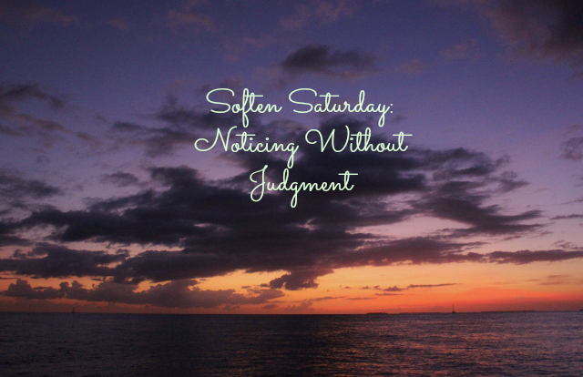 Soften Saturday: Noticing Without Judging