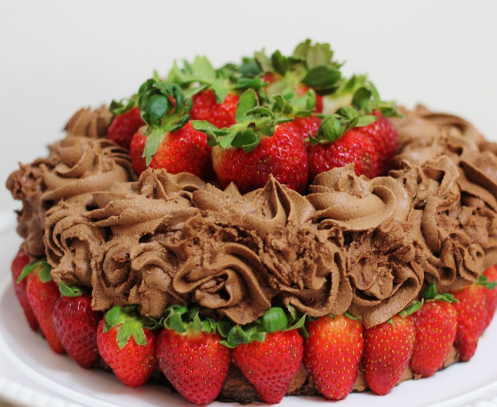 The Ultimate Chocolate Birthday Cake (gluten-free, dairy ...