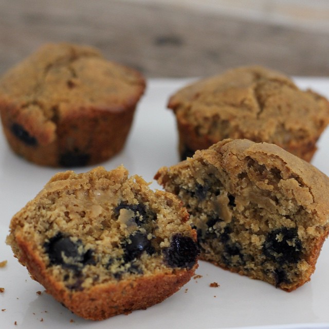 Blueberry Muffins for two...or three (gluten-free, dairy-free) | In Johnna's Kitchen