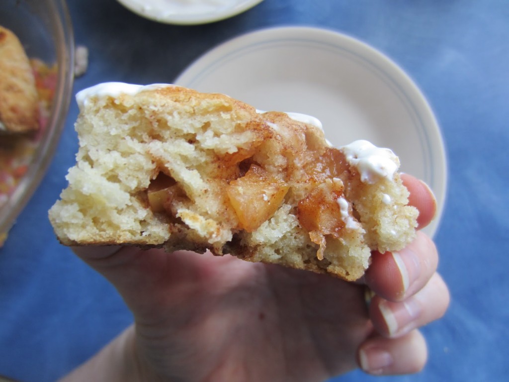 Gluten-Free Cinnamon Apple Rolls | Raia's Recipes