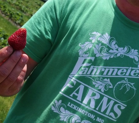 Fahrmeier U-Pick Strawberries | In Johnna's Kitchen