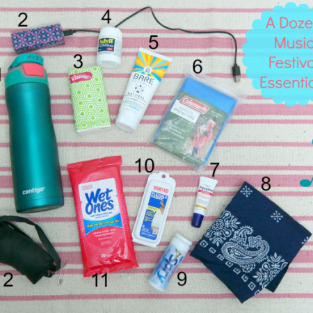 A Dozen Music Festival Essentials | In Johnna's Kitchen