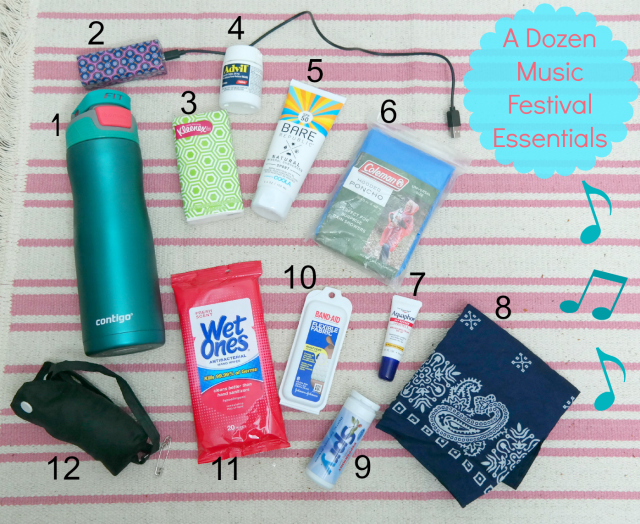 Tick mælk lufthavn A Dozen Music Festival Essentials...and then some! - In Johnna's Kitchen