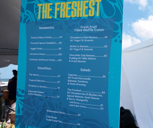 The Freshest/Hippie Dips at Hangout Fest