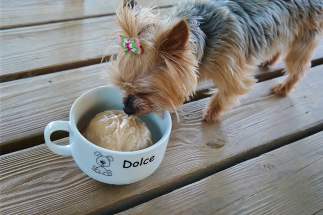 Two Ingredient Peanut Butter Banana Ice Cream For Your Dogs (gluten-free, dairy-free, vegan) | In Johnna's Kitchen