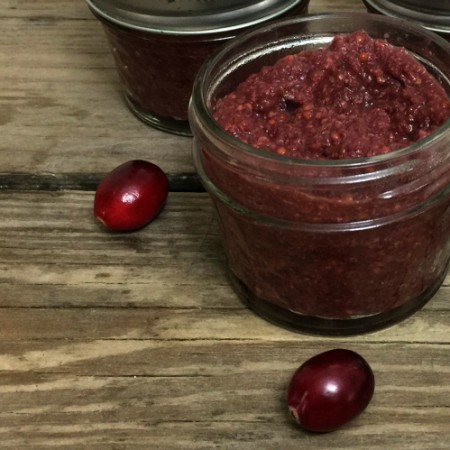 Cranberry Mustard | In Johnna's Kitchen