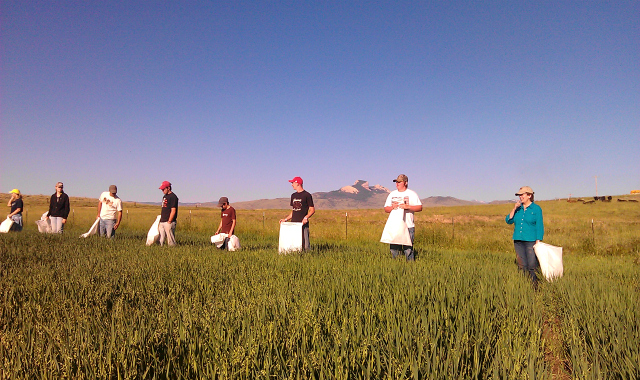 Support a Gluten-Free Farm AND Trust Your Oats