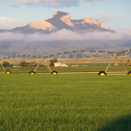 GF Harvest Oat Fields, Support a Gluten-Free Farm, Trust Your Oats