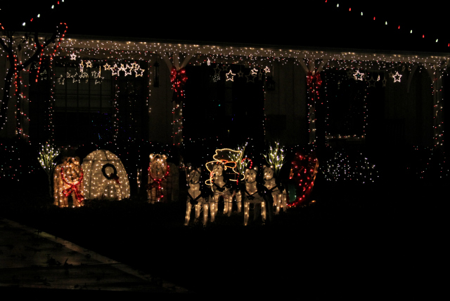 Kansas City Christmas Lights Drive | In Johnna's Kitchen