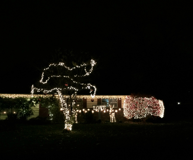 Kansas City Christmas Lights Drive | In Johnna's Kitchen