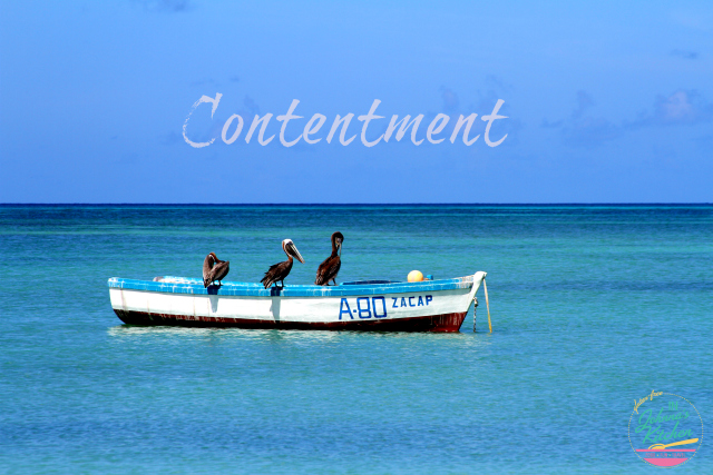 Contentment | In Johnna's Kitchen